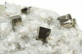 Colorless Apatite, Quartz, and Pyrite Association - Peru #220822-1